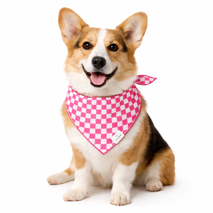 Hot Pink Checkered Dog Bandana