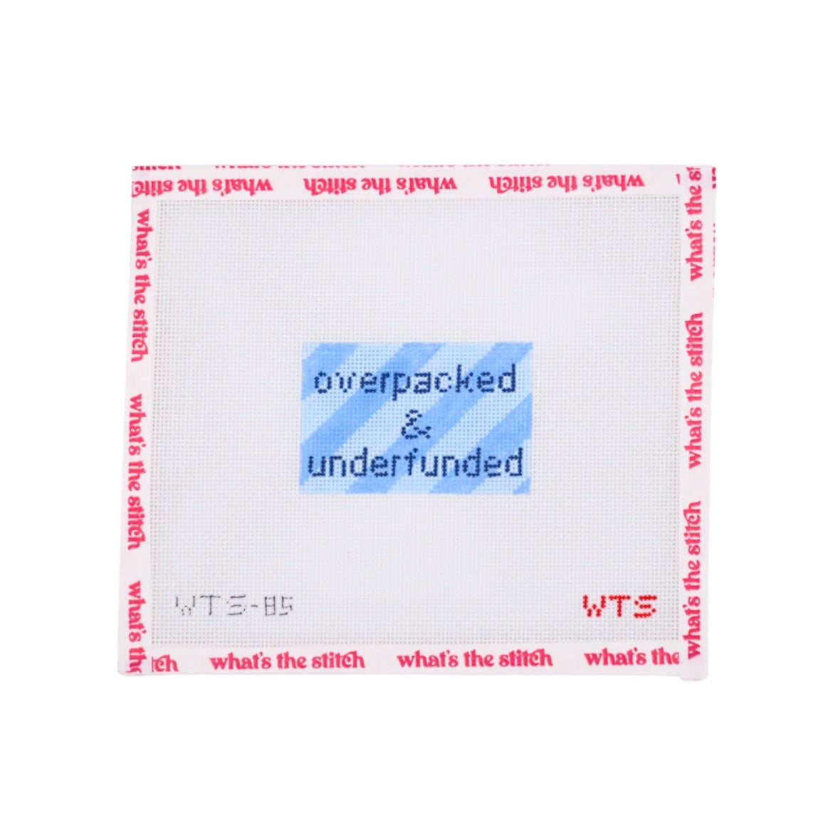 Overpacked and Underfunded Needlepoint Canvas | 18 Mesh