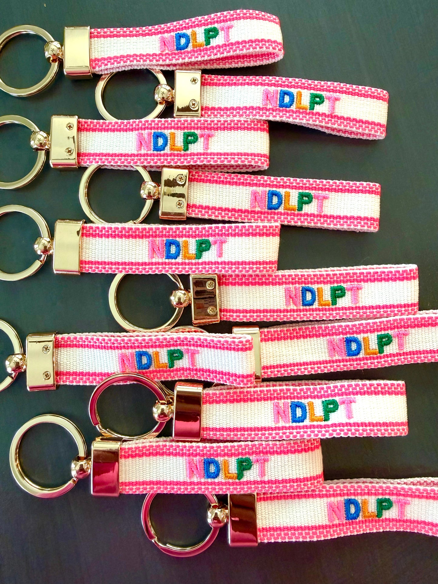 NDLPT Keychain