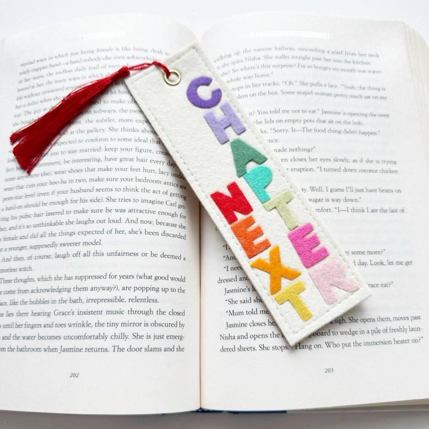 Next Chapter Felt Bookmark Rainbow