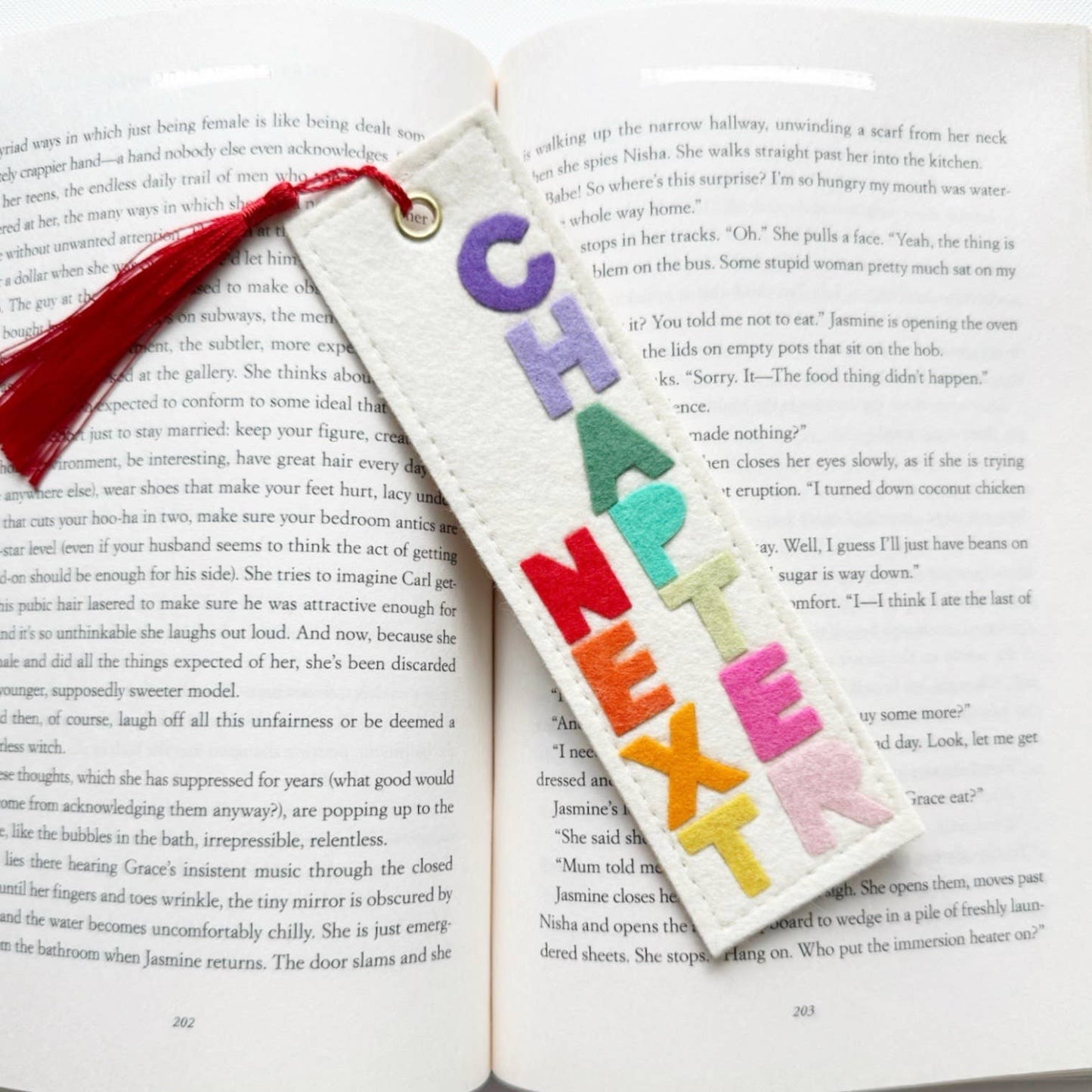 Next Chapter Felt Bookmark Rainbow