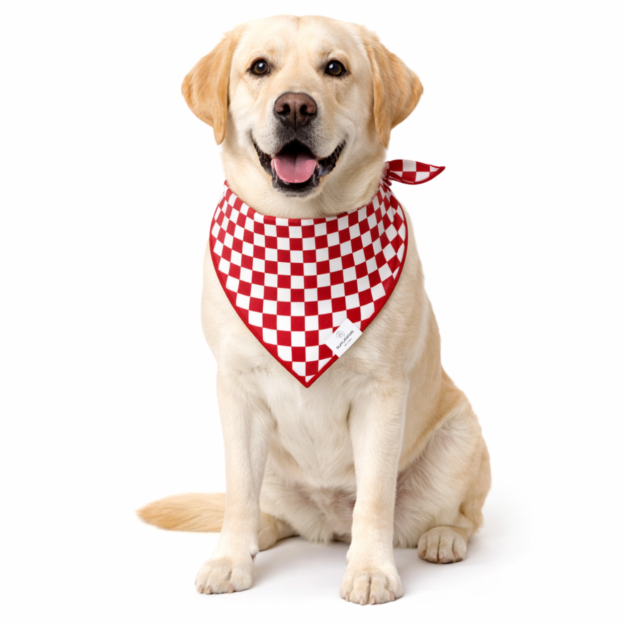 Red Checkered Dog Bandana