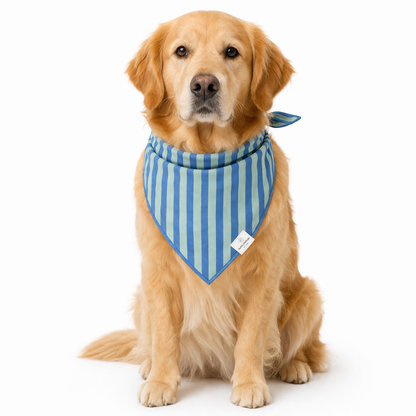 Blue Stripe Dog Bandana